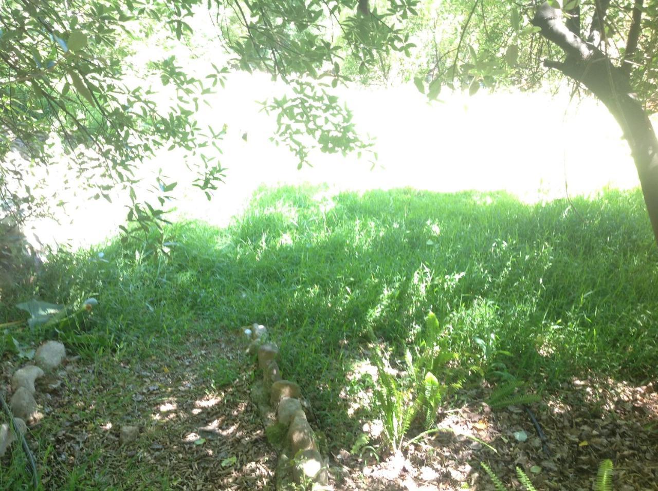 Little Willow Brooke Franschhoek Dış mekan fotoğraf